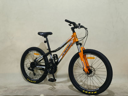 Bicicleta aro 24 de niño