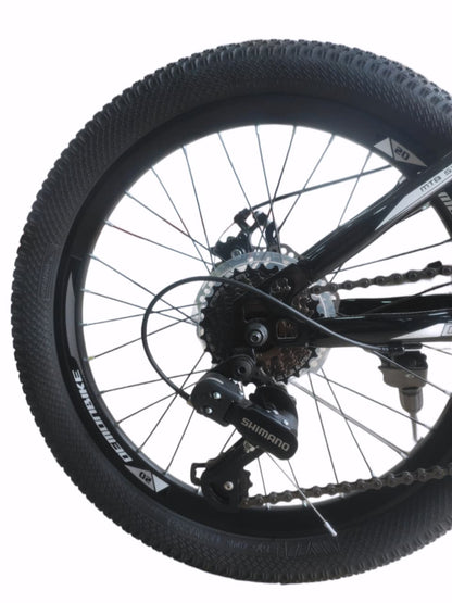 BICICLETA MTB ARO 20 - VERDE